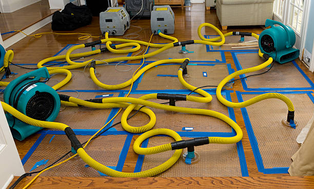 Professional Crawl Space Water Removal technician working in Bellmore, NY